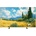 TCL 65A400 PRO