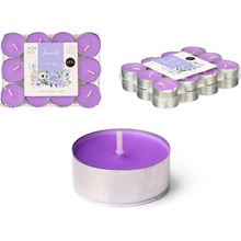 Acorde Lavender 24 ks