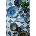 Bloomingville Комплект чаши Bloomingville Katrina 365 ml (4 броя) (82072690)