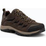 Columbia Мъжки обувки за трекинг Columbia Crestwood Wp V2 mud/squash