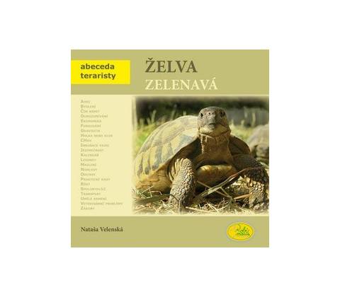 Želva zelenavá