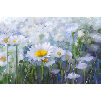 DIMEX ART s. r. o Флизелинов фототапет картина - маргаритки 375 x 250 см