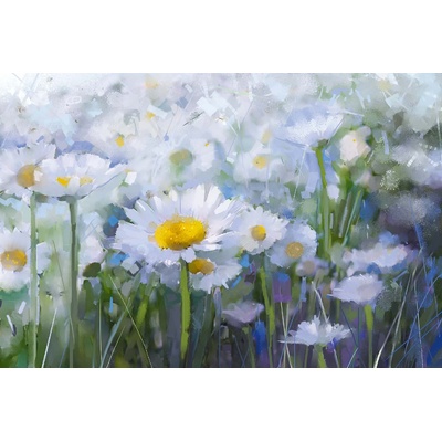 DIMEX ART Флизелинов фототапет картина - маргаритки 375 x 250 см