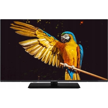 GoGEN TVF 32M340 STWEB