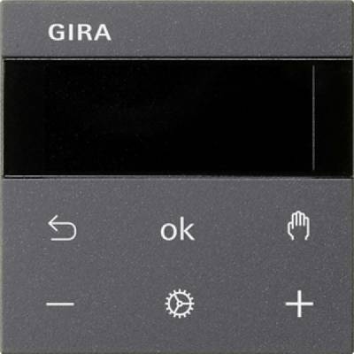 GIRA 539428