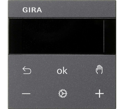 GIRA 539428
