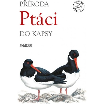 Pt áci