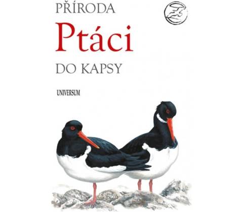 Pt áci