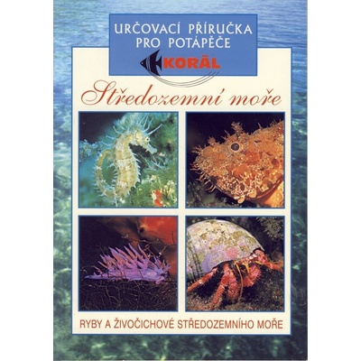 Středozemní moře-určovací příručka pro potápěče