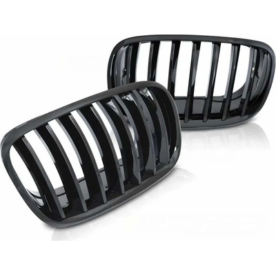 PŘEDNÍ MASKA, LEDVINKY BMW X5 E70 2007-2014, X6 E71, 2008-2014 černá-Lesklá – Zboží Mobilmania