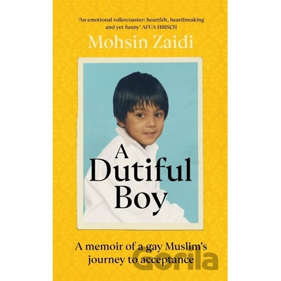 A Dutiful Boy - Mohsin Zaidi