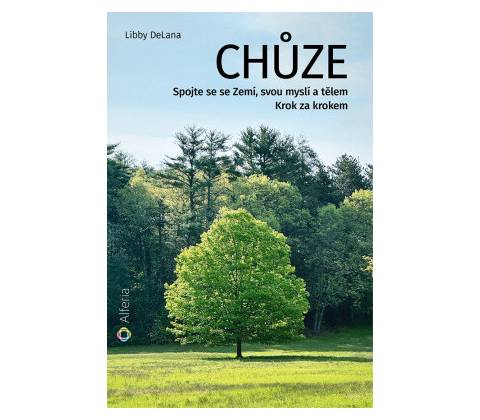 Chůze