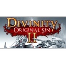 Divinity: Original Sin 2