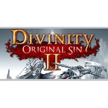 Divinity: Original Sin 2