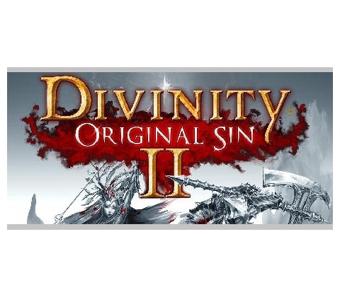 Divinity: Original Sin 2