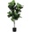 Bizzotto ИЗКУСТВЕНО РАСТЕНИЕ ficus lyrata 120cm (0172843)