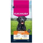 EUKANUBA Храна EUKANUBA Junior Large богата на прясно пилешко 15 кг (1724-208916)