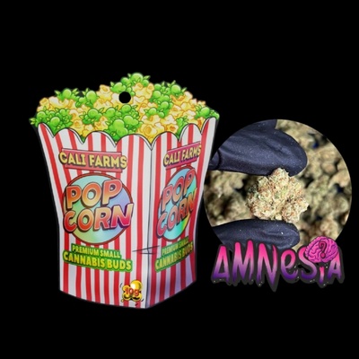 Califarms Amnesia 12,88 % CBD 0,07% THC 10 g – Sleviste.cz