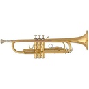 ROY BENSON TR-101