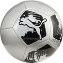 Fotbalové míče Puma Big Cat