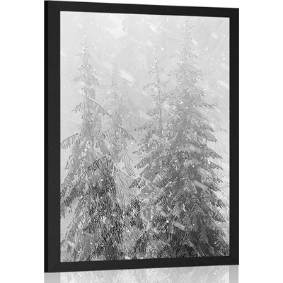 Plakát zasněžená krajina v černobílém provedení - 40x60 black