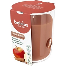 BOLSIUS Apple Cinnamon 313 g