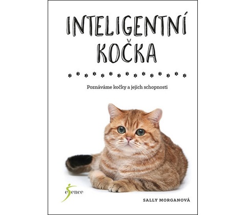 Inteligentní kočka