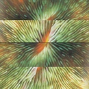 ACTIVE SURPLUS - MIRRORING LP