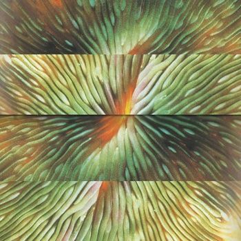 ACTIVE SURPLUS - MIRRORING LP