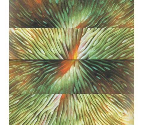 ACTIVE SURPLUS - MIRRORING LP