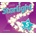 Starlight 5 Class Audio CD