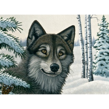 Royal Langnickel Malování podle čísel Vlk v zimě