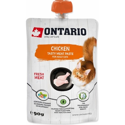 ONTARIO Pasta kuracie 90 g