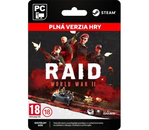 RAID: World War II
