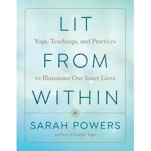 Lit from Within (ISBN: 9781611808506)