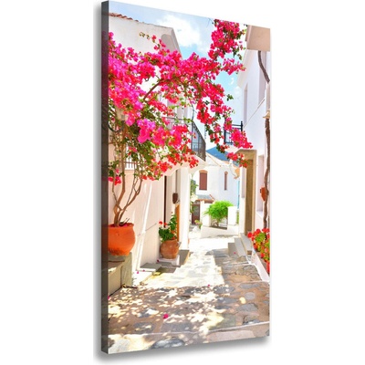 Vertikálny foto obraz na plátne Grécke ulice 50x100 cm