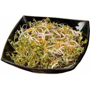 Biomiska Pikantná zmes semienka na klíčenie - 20 g