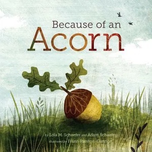 Because of an Acorn | Lola M. Schaefer, Adam Schaefer (ISBN: 9781452112428)