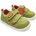 Biomecanics Verde
