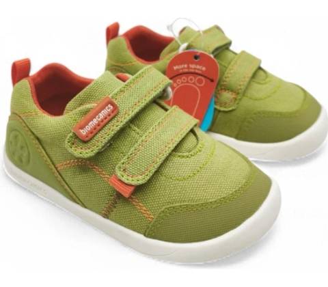 Biomecanics Verde