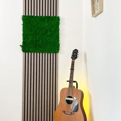 Jangal Modular Wall Nature Moss NATURE GREEN 11100 520 x 520 mm 0,2704m²