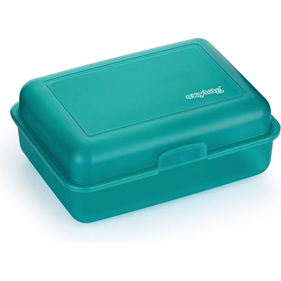 Oxybag box na desiatu mintová mat
