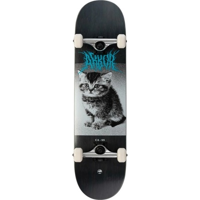 Arbor Street Revert Kitten