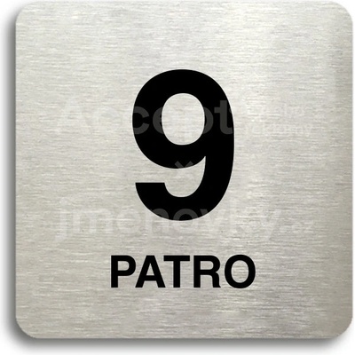 ACCEPT Piktogram 9 patro - stříbrná tabulka - černý tisk bez rámečku