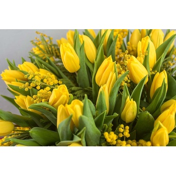 DIMEX ART s. r. o Флизелинов фототапет букет от лалета 375 x 250 см