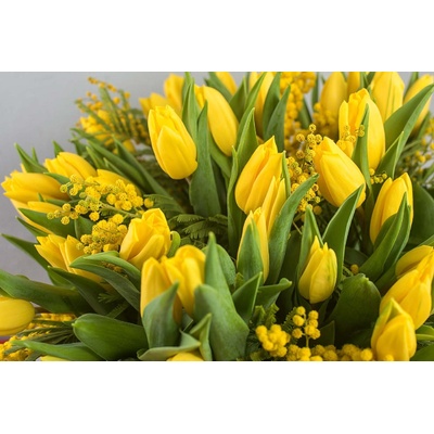 DIMEX ART Флизелинов фототапет букет от лалета 375 x 250 см