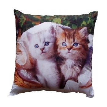 Dadka vankúš biele a hnědé kotě 40x40