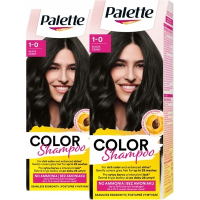 Palette Černá 113 140 ml tónovací šampon