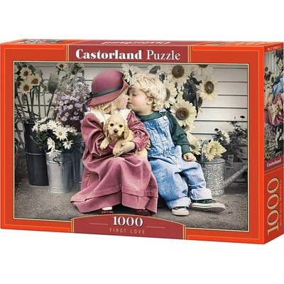 Castorland Пъзел Castorland от 1000 части - Първа любов (C-104451-2)