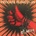 Private Function - St. Anger LP